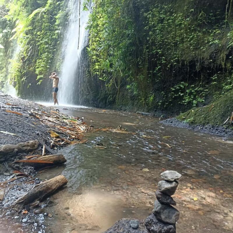 ubud trip monkey forest sanctuary - Exploring Bali’s Ubud with the Monkey Forest Sanctuary Tour