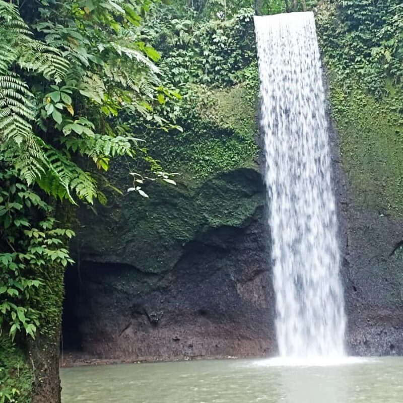 ubud trip monkey forest sanctuary - Final Thoughts