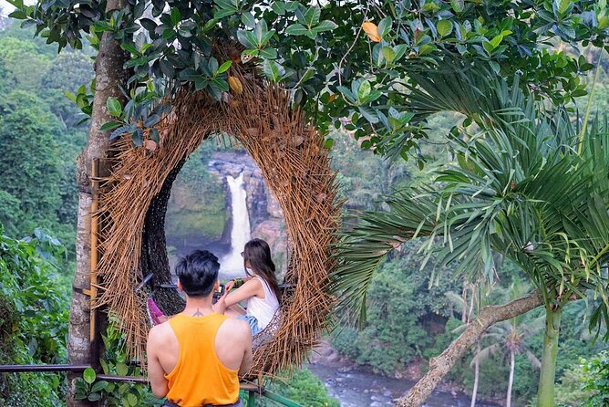 Ubud Trip, the Best of Ubud in a Day - All Inclusive - Ubud Trip Highlights