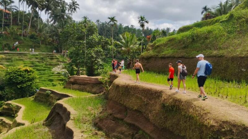 Ubud: Uma Anyar Waterfall, Goa Gajah Temple & Rice Terrace - Good To Know