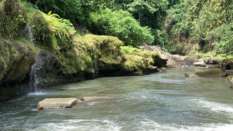 Ubud: Uma Anyar Waterfall, Goa Gajah Temple & Rice Terrace - Practical Aspects & Tips