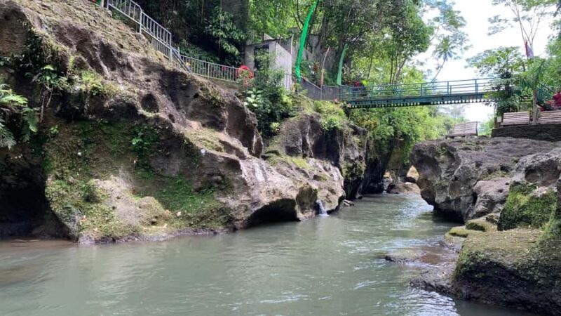 Ubud: Uma Anyar Waterfall, Goa Gajah Temple & Rice Terrace - Who Is This Tour Best For?