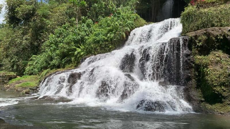 Ubud: Uma Anyar Waterfall, Goa Gajah Temple & Rice Terrace - Who Is This Tour Best For?