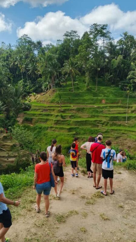 Ubud: Uma Anyar Waterfall, Goa Gajah Temple & Rice Terrace - FAQ
