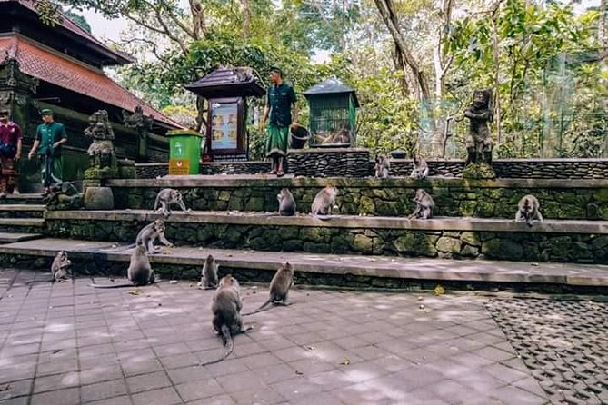 Ubud Unique Private Tours - Traveler Experience and Photos