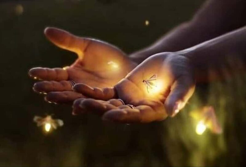 Ubud: Village Firefly Night Tour with Dinner - Good To Know