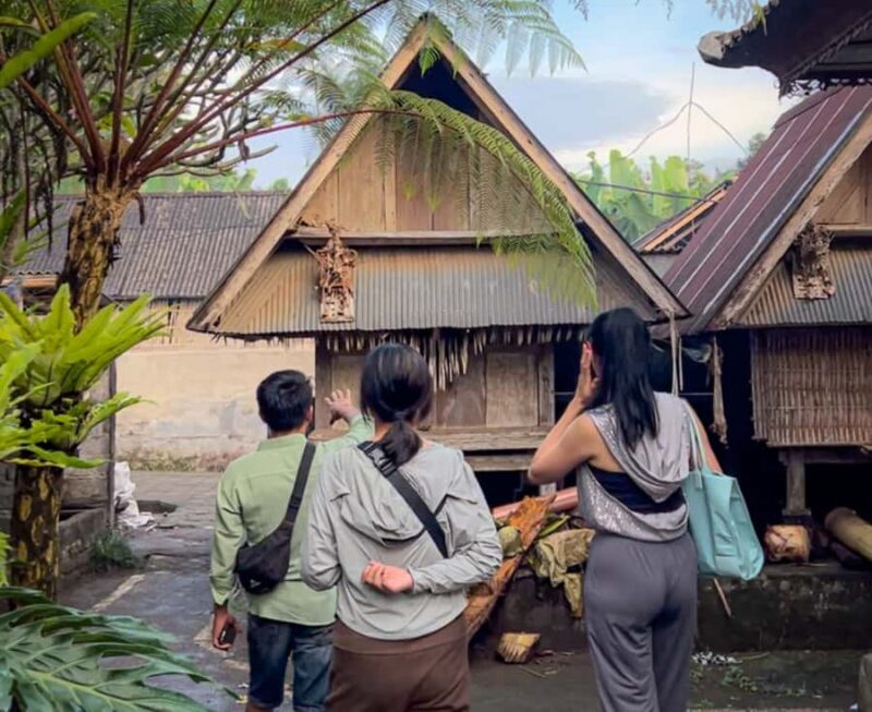 Ubud: Village Firefly Night Tour with Dinner - Who Is This Tour Best For?