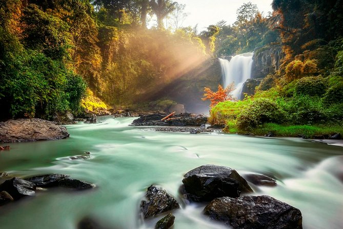 Ubud Village Sightseeing, Famous Paddy Field And Ubud Waterfall - Exploring Famous Paddy Fields