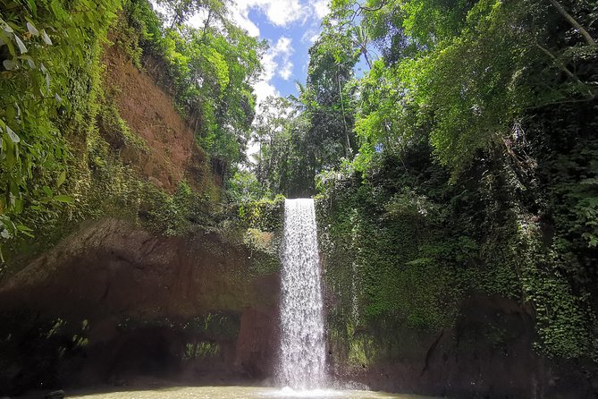 Ubud Village, Tegalalang Rice Terrace Swing, Tirta Empul Temple and Waterfafall - Ubud Village Overview