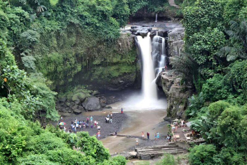 Ubud Village, Waterfall and Kintamani Volcano Private Tour - The Full Breakdown of the Tour