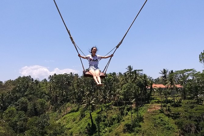 Ubud & Volcano Tour - Tour Highlights