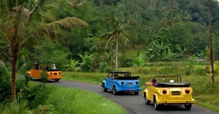 Ubud VW Safari Bali Tour - Highlights and Inclusions