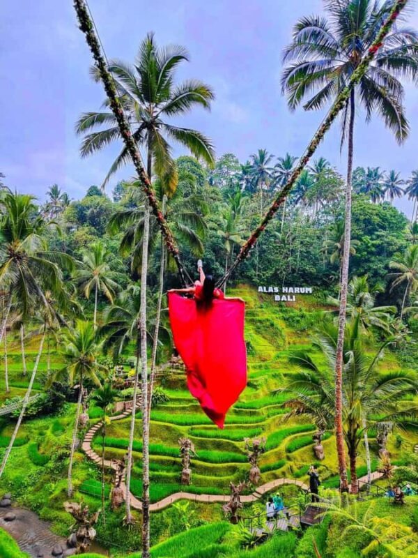 Ubud: Water Temple, Waterfalls and Rice Terrace Day Trip - Good To Know