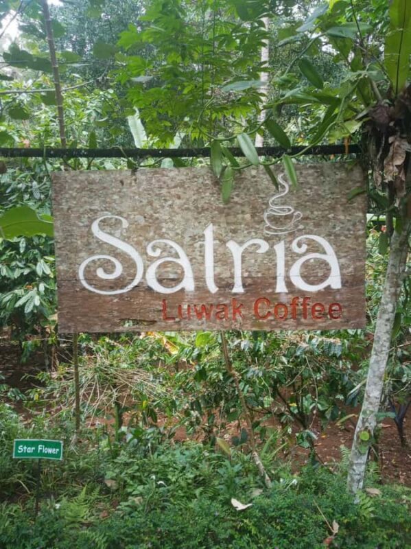 Ubud: Water Temple, Waterfalls and Rice Terrace Day Trip - Introduction to the Ubud Day Trip Experience