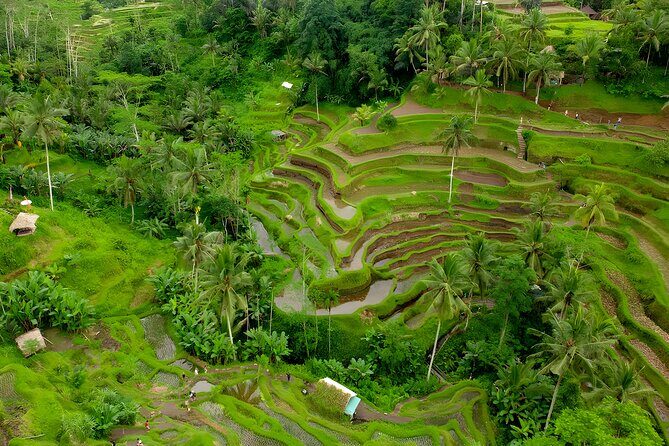 Ubud Waterfall and Tanah Lot Sunset Tour - Pricing and Value