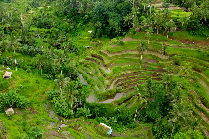 Ubud Waterfall and Uluwatu Sunset Tour - Inclusions and Exclusions