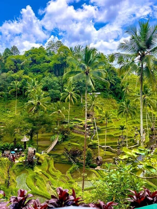 Ubud: Waterfall, Art Gallery, Dayclub, Spa, & Dinner Tour - Practical Details and Experience Insights