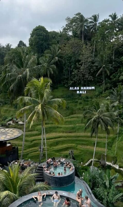 Ubud: Waterfall, Art Gallery, Dayclub, Spa, & Dinner Tour - FAQ