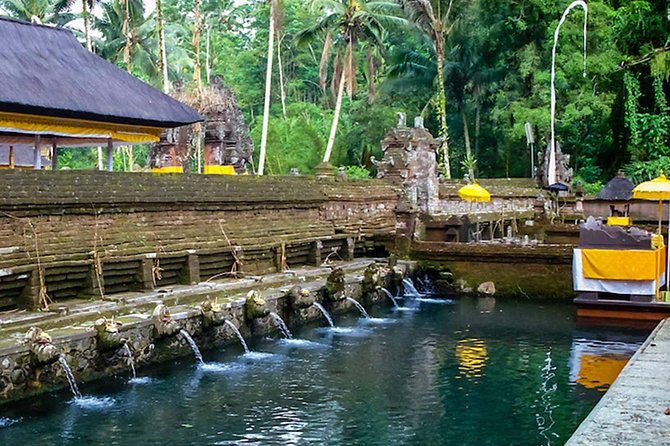 Ubud - Waterfall - Jungle Swing - Monkey Forest - Rice Terrace - Free WiFi - Best Waterfall to Explore in Ubud