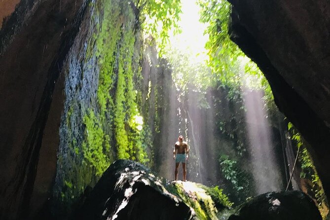 Ubud : Waterfall, Monkey Forest, Rice Terrace Swing Guided Tour - Tour Highlights
