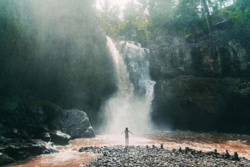 Ubud: Waterfall, Rice Terrace & Temple Private Day Tour - A Complete Review of the Ubud Waterfall, Rice Terrace & Temple Tour