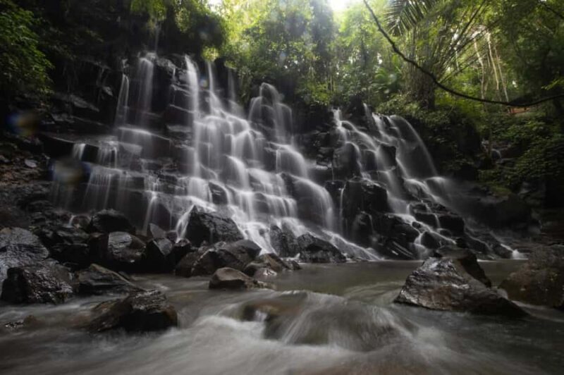 Ubud: Waterfall, Rice Terrace & Temple Private Day Tour - Authentic Experiences from the Reviews