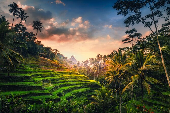 Ubud Waterfall, Rice Terraces, and Swing Explore - Tour Highlights