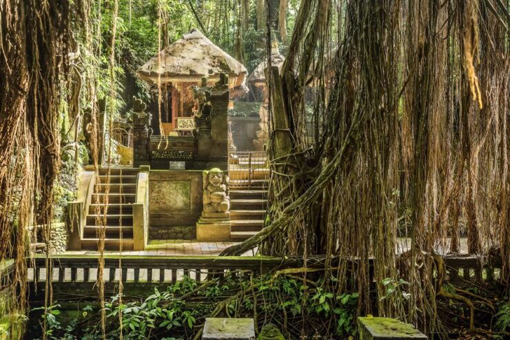 Ubud: Waterfall, Rice Terraces & Monkey Forest Private Tour - Highlights of the Tour