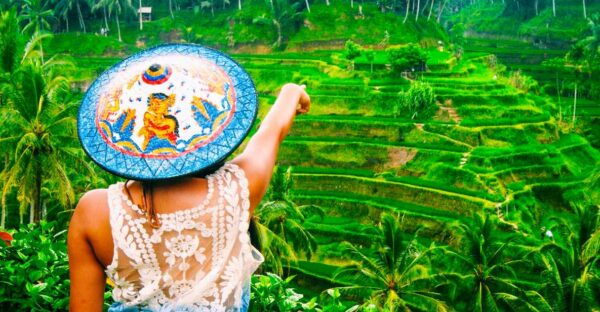 Ubud: Waterfall, Rice Terraces & Monkey Forest Private Tour - Free Cancellation and Flexible Booking