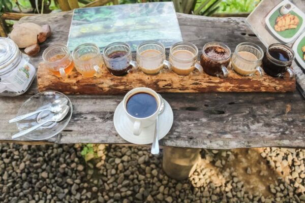 Ubud: Waterfall, Rice Terraces & Monkey Forest Private Tour - Customer Reviews and Recommendations