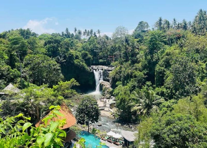 Ubud: Waterfall, Ricefield, Purification Ritual Private Tour - The Sum Up