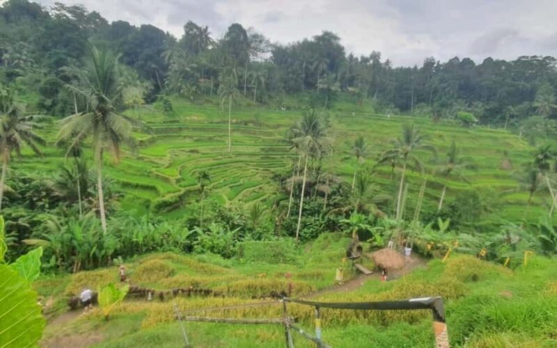 Ubud: Waterfall, Temple, & Jungle Swing Day Tour with Lunch - Final Thoughts