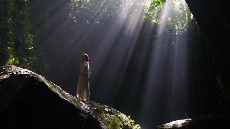 Ubud: Waterfall, Water Temple & Rice Terrace Private tour - Why Choose This Tour?