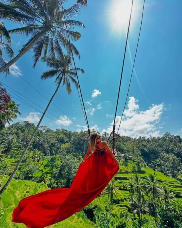 Ubud Waterfalls ,Rice Teraces ,& Swing ,Optional Art Galeria - A Detailed Look at the Ubud Waterfalls, Rice Terraces, & Swing Tour