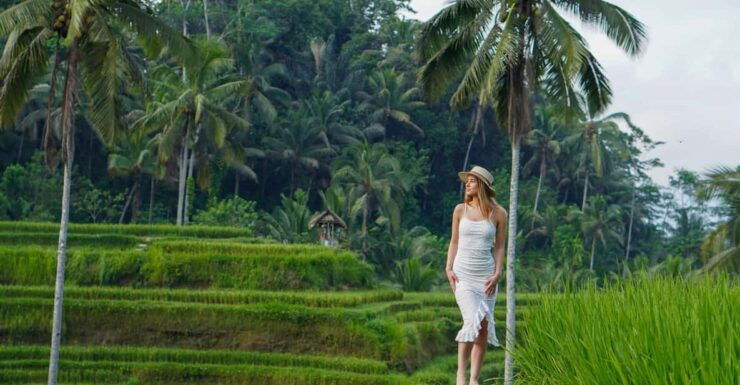 Ubud: Waterfalls, Rice Terrace and Swing With Photography - Key Points