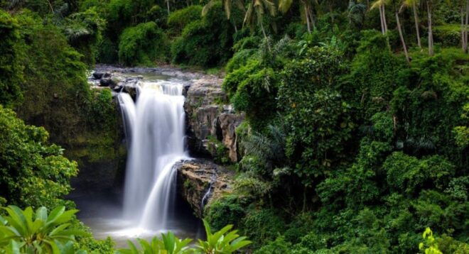 Ubud: Waterfalls, Rice Terrace, & Monkey Forest Tour - Goa Gajah Temple