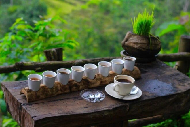Ubud: Waterfalls, Rice Terrace, & Monkey Forest Tour - Tirta Empul Temple