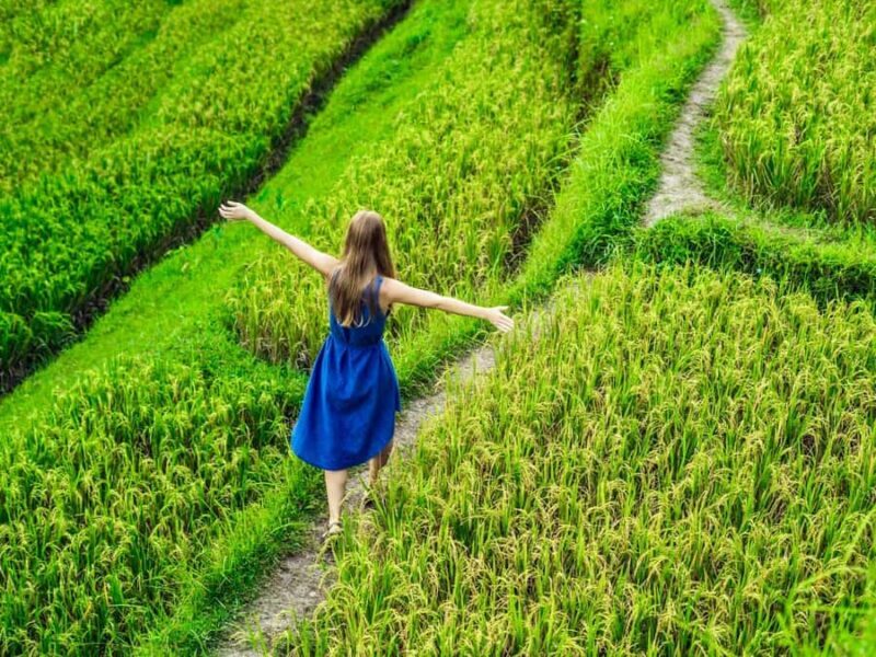 Ubud: Waterfalls, Sacred Monkey Forest & Rice Terraces Tour - Good To Know