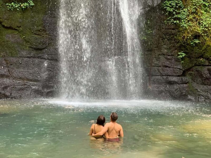 Ubud: Waterfalls, Sacred Monkey Forest & Rice Terraces Tour - Exploring Ubud: The Heart of Bali’s Natural and Cultural Charm