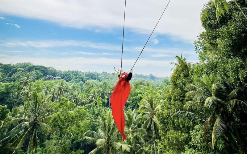 Ubud: Waterfalls, Sacred Monkey Forest & Rice Terraces Tour - Who Should Consider This Tour?