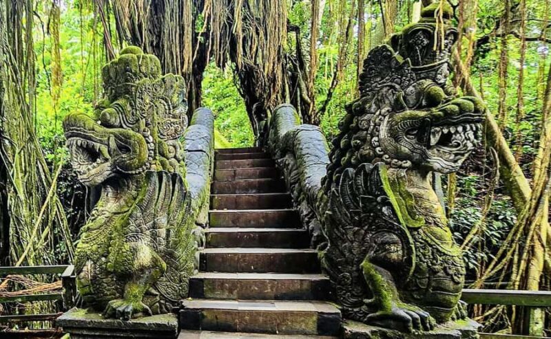 Ubud: Waterfalls, Sacred Monkey Forest & Rice Terraces Tour - The Sum Up
