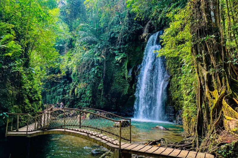 Ubud: Waterfalls, Sacred Monkey Forest & Rice Terraces Tour - An In-Depth Look at the Tour