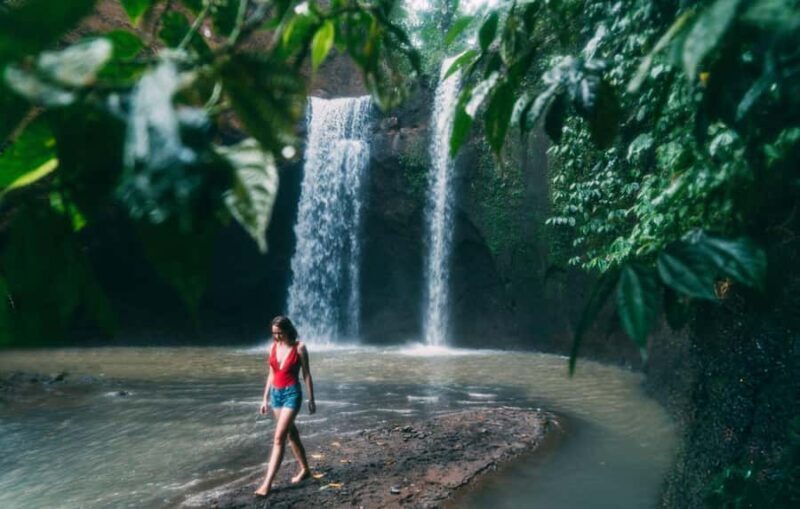 Ubud: Waterfalls, Temple, Monkey Forest Private Tour - The Itinerary Breakdown: What You’ll See and Why It Matters