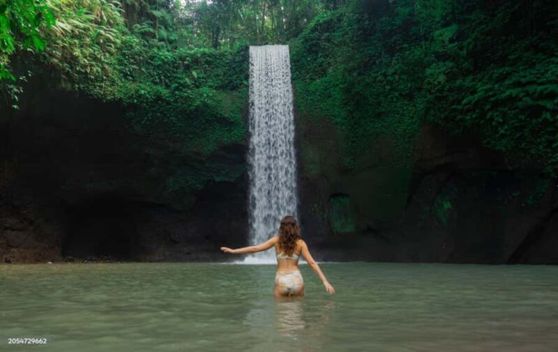 Ubud: Waterfalls, Temple, Monkey Forest Private Tour - The Sum Up