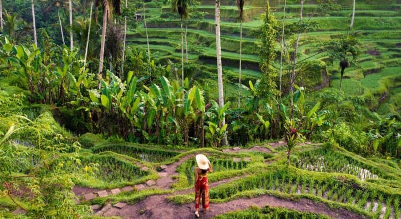 Ubud: Waterfalls, Temple & Rice Terraces Private Tour - Detailed Itinerary Breakdown