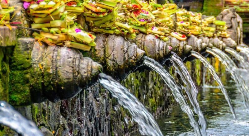 Ubud: Waterfalls, Temple & Rice Terraces Private Tour - FAQs