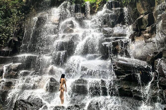 Ubud Waterfalls, Water Temple and Rice Terrace - Private Tour - The Sum Up