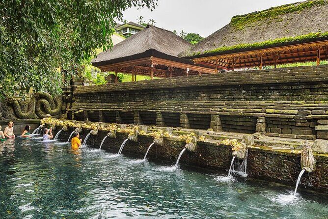 Ubud Waterfalls Water Temple and Rice Terraces Tour - Who Should Book This Tour?