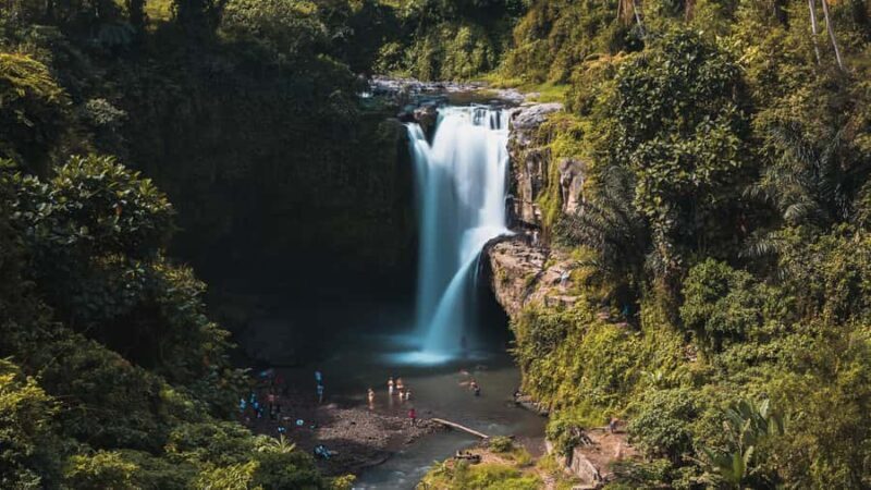 Ubud: Waterfalls, Water Temple & Monkey Forest Shared Tour - Good To Know