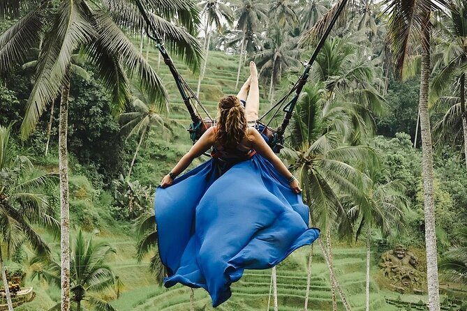 Ubud Waterfalls, Water Temple & Rice Terrace - Private Tour - Logistics and Value